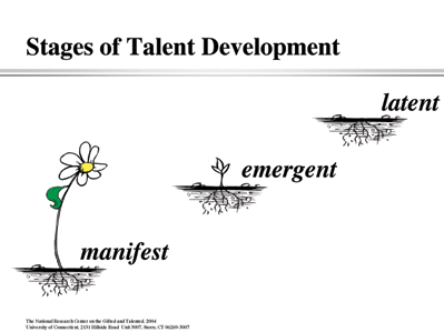 Stages of Talent Development